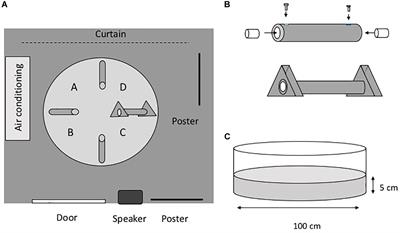 Spatial Learning in Japanese Eels Using Extra- and Intra-Maze Cues